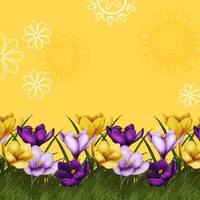 Border flower background