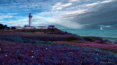 Pigeon Point - art, lighthouse, digital, wallpaper