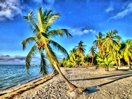 Palm Tree - beach, tree, palm, sea