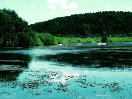 Strange world - nature, green, lake, trees