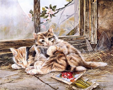 Finding Shelter - packages, hay, broken, kittens, floor, painting, window, blossoms, house, tree, old