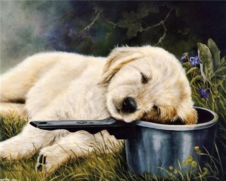 Nice Comfortable Spot - sleeping, puppy, adorable, sleeping animals, pets, cute dogs, painting, nature, pot, flowers, grass, puppies