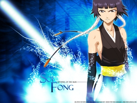 Soi Fon - anime, blue, soi, bleach, fon