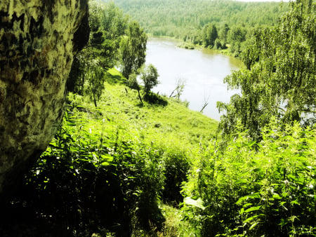 Strange World 3 - plants, lake, nature, green