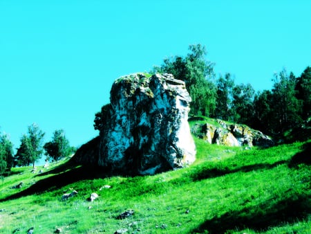 Strange World 2 - rock, grass, nature, green