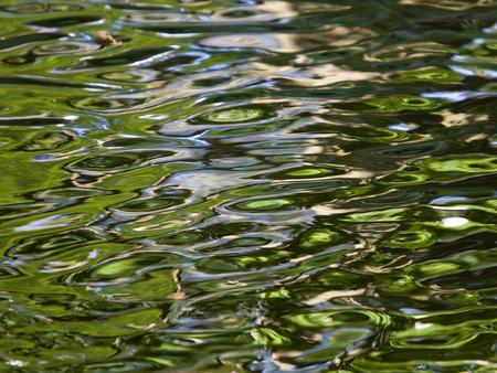 Woodland Water Reflections - water, woodland, abstract, reflection