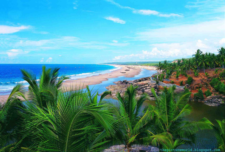 Beach in Kerala India - trees, coastline, water, beach, india, beauty, ocean, sand, kerala, nature