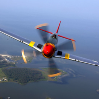 The Old Crow Mustang Sweeden