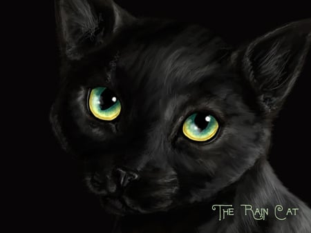 The Rain Cat - black cat, cats, art, cat, animals