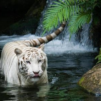 Bath Time