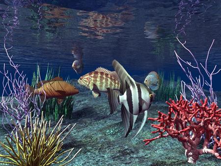 something fishy - nature, ocean, 3d, water, fish