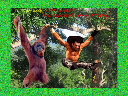 the monkey - matt hardy monkey ourang outang bobe