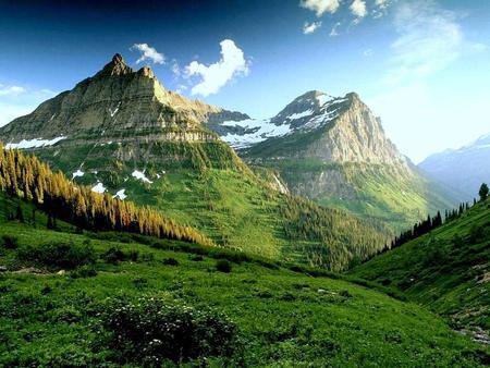 Wonderful Nature !!! - hill, clouds, plant