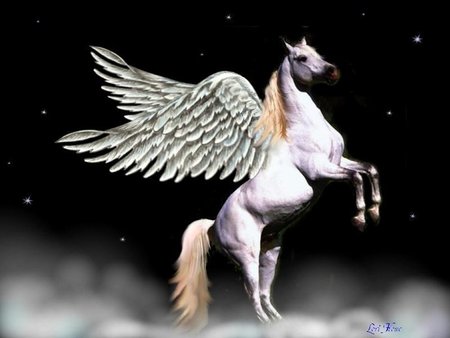 Celestial Pegasus - abstract, fantasy, pegasus, stallion, greek mythology, horse, fantasy horse