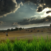 clouds over hayfield