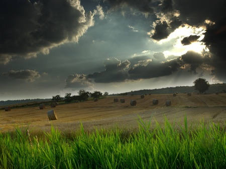 clouds over hayfield - sky