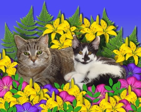 CatsandFlowers - flowers, cat