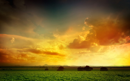 Sun painting - clouds, yellow hues, sun, field grass, green