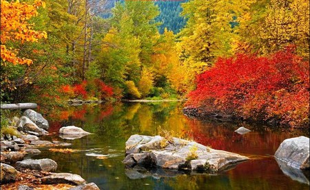 River Falls - reflections, trees, stunning pretty, reds, freedom, yellows, greens, colours, river, outdoors, nature, autumn, rocks