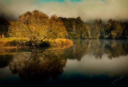 Golden foilage - autumn, lake, gold, mist, reflections, beautiful, fog, leaves, tree, golden