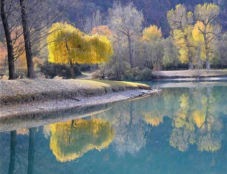 A Fishing Place - lake, autum, tree, nature, park