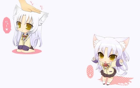 Chibi Tachibana Kanade - chibi, angel beats, anime, tachibana kanade, cat ears