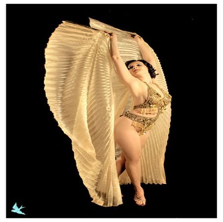 DRESS LIKE WINGS - woman, body, cream, female, black, dress, fly, gold