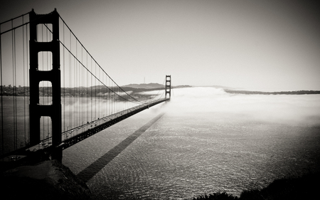 Into the Fog - ocean, golden gate, architecture, fog, bridges, bay, san francisco