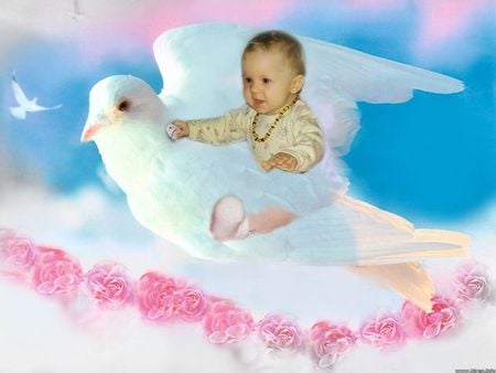 baby - on, bird, flying, baby