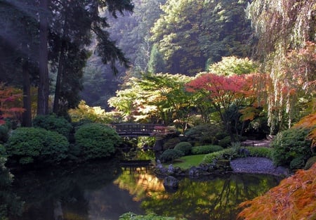 Beauty - colours, trees, water, autumn