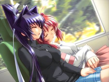 SleepingGirlsOnTrain - girls, train, anime, sleep, other