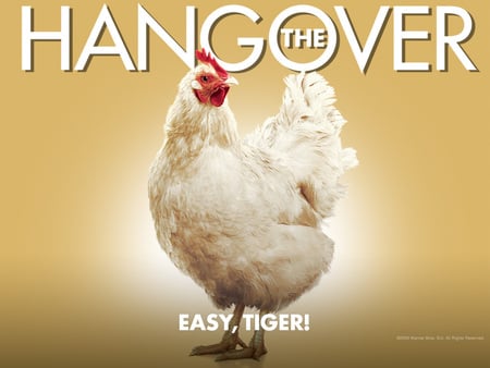 The Hangover Chicken - chicken, farm, movie, the hangover