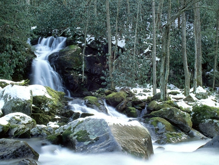 nature - cg, smoke, water, nature