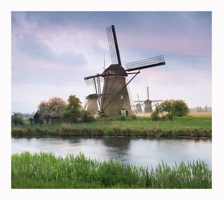 windmills - trees, water, beautiful, art photo, field, windmills, sky