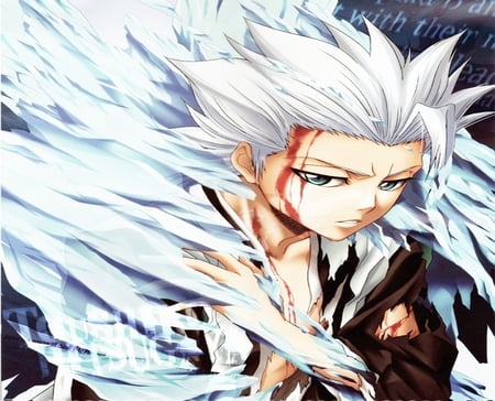 Toushiro Hitsugaya