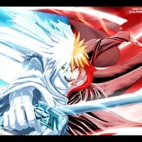 Bleach Hichigo & Ichigo