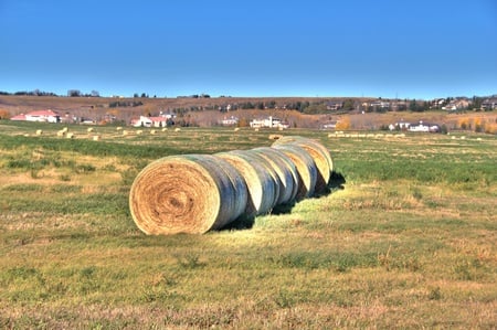 Hay Barrells - hay barrells, barrells, hdr, hay