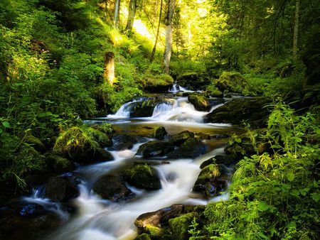 Silent srteam - nature, beautifulm, amazing, landscape, forest, green, waterfall