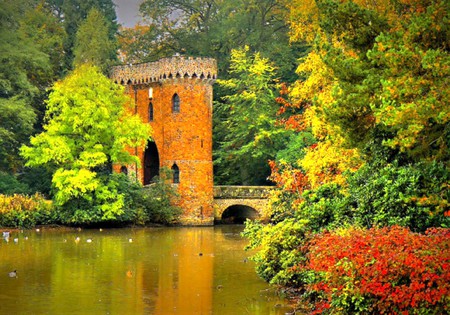 Trees in Garden - picture, lake, trees, colors, garden