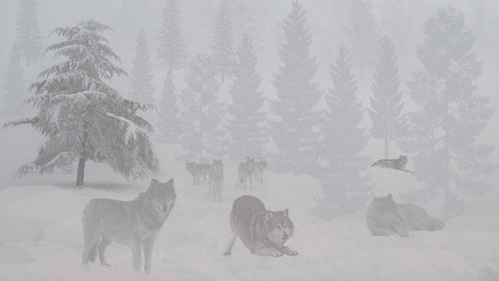 Winter Wolves - wolf, wolves, trees, forest, snow, winter, firefox persona, gray