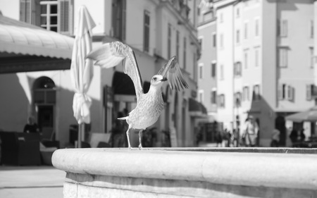 Fly - fountain, town, animals, birds