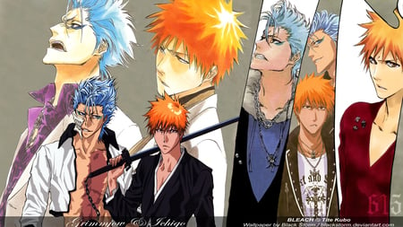 BLEACH: Grimmjow and Ichigo 01 - mangaka, tite, studio, series, bleach, grimmjow jeagerjaques, ichigo kurosaki, character, pierrot, kubo