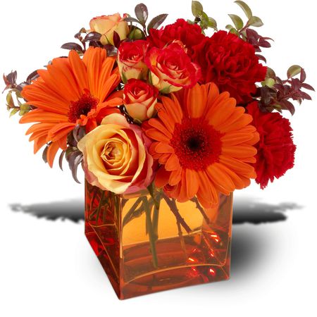 Glass Beauty - glass, water, reds, vase, spring, square, pretty, floral, display, orange, flowers