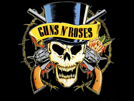 Guns N Roses - roses, metal, gun, guns, rock, rose, skull