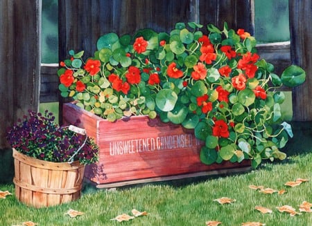 Just Simple Pleasures - fence, crate, basket, country, fall, box, floral, leaves, sunny, flowers, grass