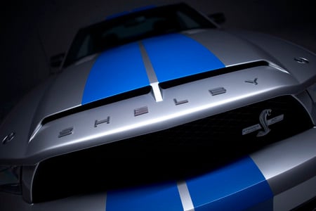 Shelby - shelby, ford, car, mustang