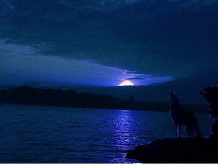 The howling - moon, wolf, howling at moon, moon reflection, clouds, blue night, water, rock