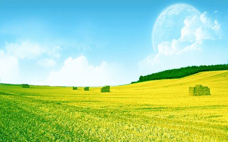 Yellow field - sky, hill, field, yellow, nature