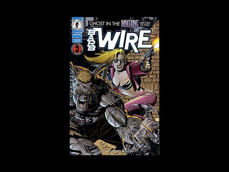 Barb Wire - comic, fantasy, female, barb, wire