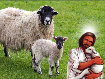 Jesus Christ, Good Shepherd - shepherd, sheep, religion, christianity, jesus christ, god